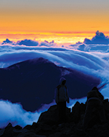 Polynesian Adventure